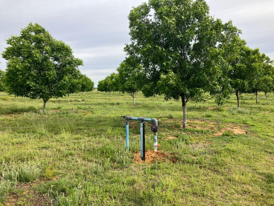 10 Bedroom Property for Sale in Bainsvlei Free State